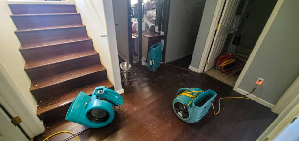 Best Carpet water damage restoration  in Warner, OK