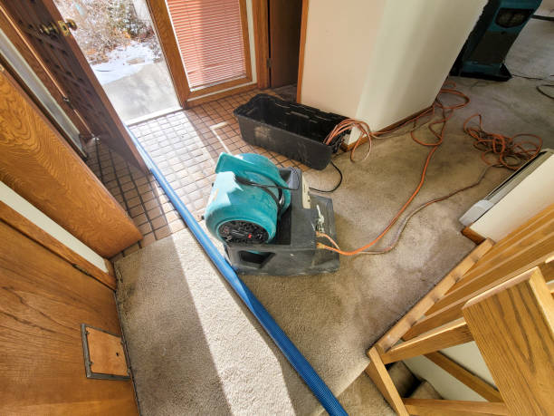 Best Emergency water damage restoration  in Warner, OK