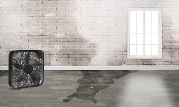 Best 24/7 water damage repair  in Warner, OK