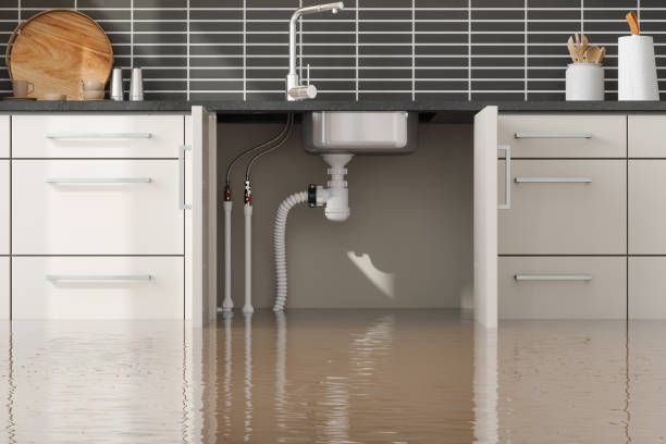 Best Water damage mitigation services  in Warner, OK